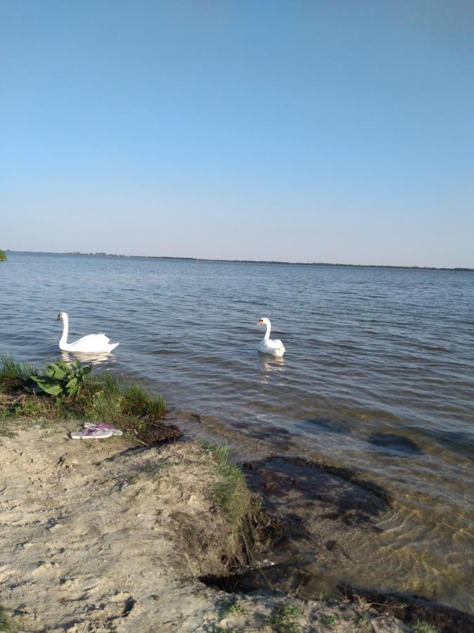 Лазурний Берег Pulemets Buitenkant foto