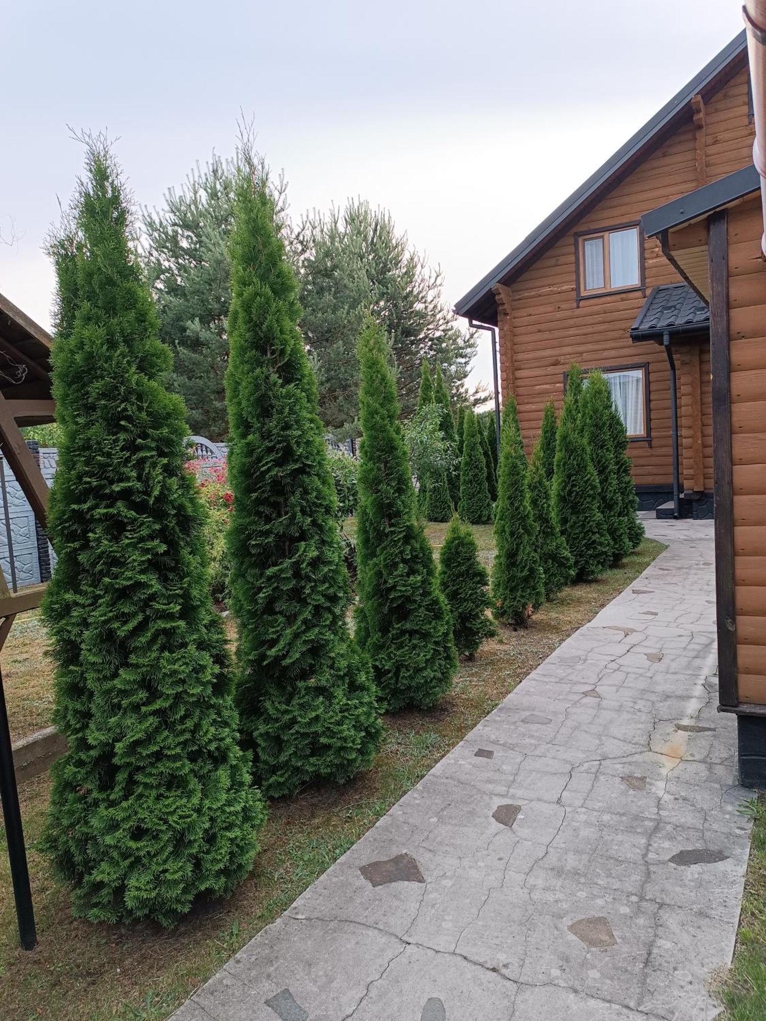 Лазурний Берег Pulemets Buitenkant foto